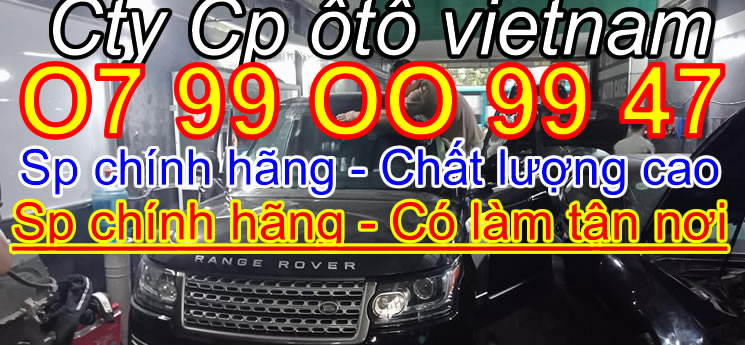 Kính xe hơi ô tô Bình Dương