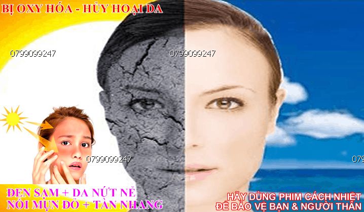 phim cach nhiet | phim cách nhiệt giá rẻ