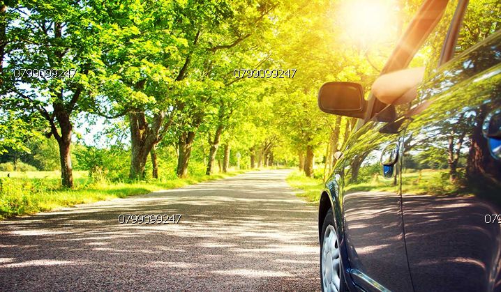 phim cach nhiet | phim cách nhiệt giá rẻ